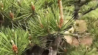 Bella Orientale Passeggia Nel Giardino Pubblico