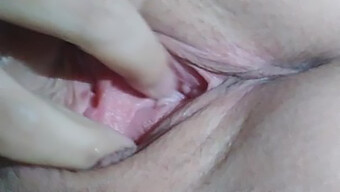 Coño Hermosamente Suave Recibiendo Placer