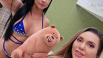 Teddy Disfruta Con Un Cariño Con Su Pareja De Bolivia