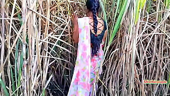 Young And Horny: A Threesome In A Sugarcane Field