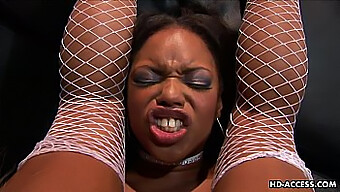 Black Beauty Enjoys Intense Oral Stimulation