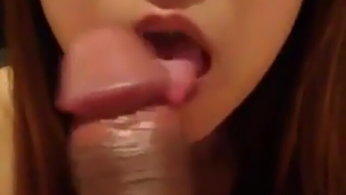 Pov Video Of Nicely Performed Oral Sex