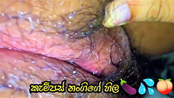 Campus Girl Without Condom Leads To Hilarious Sri Lankan Porn