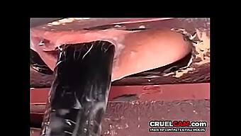 Cruelcam.Com પર આ હાર્ડકોર ટોય સેશનમાં મશીન દ્વારા રાઇડ કરવાના રોમાંચનો અનુભવ કરો