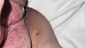 المرأة الدهنية الجميلة الأسترالية ملكة جمال سابيوسكس تحصل على كريم بي من رجل متزوج