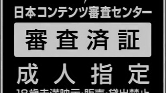 Pelayan Beruntung: Edisi Jepang