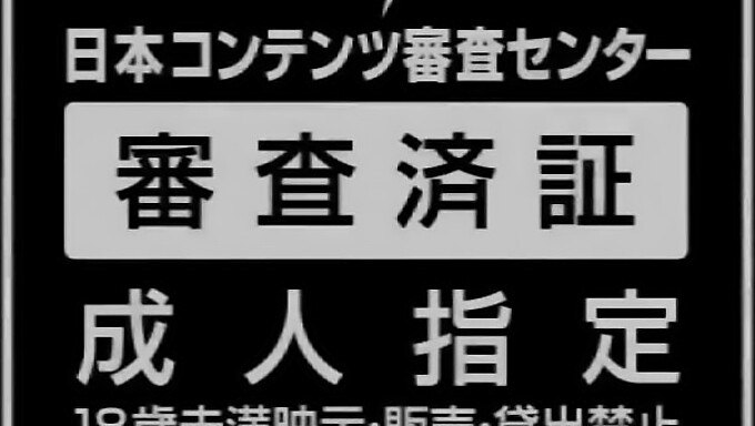 女仆karin Aizawa和kokone Mizutani在幸运主题场景中